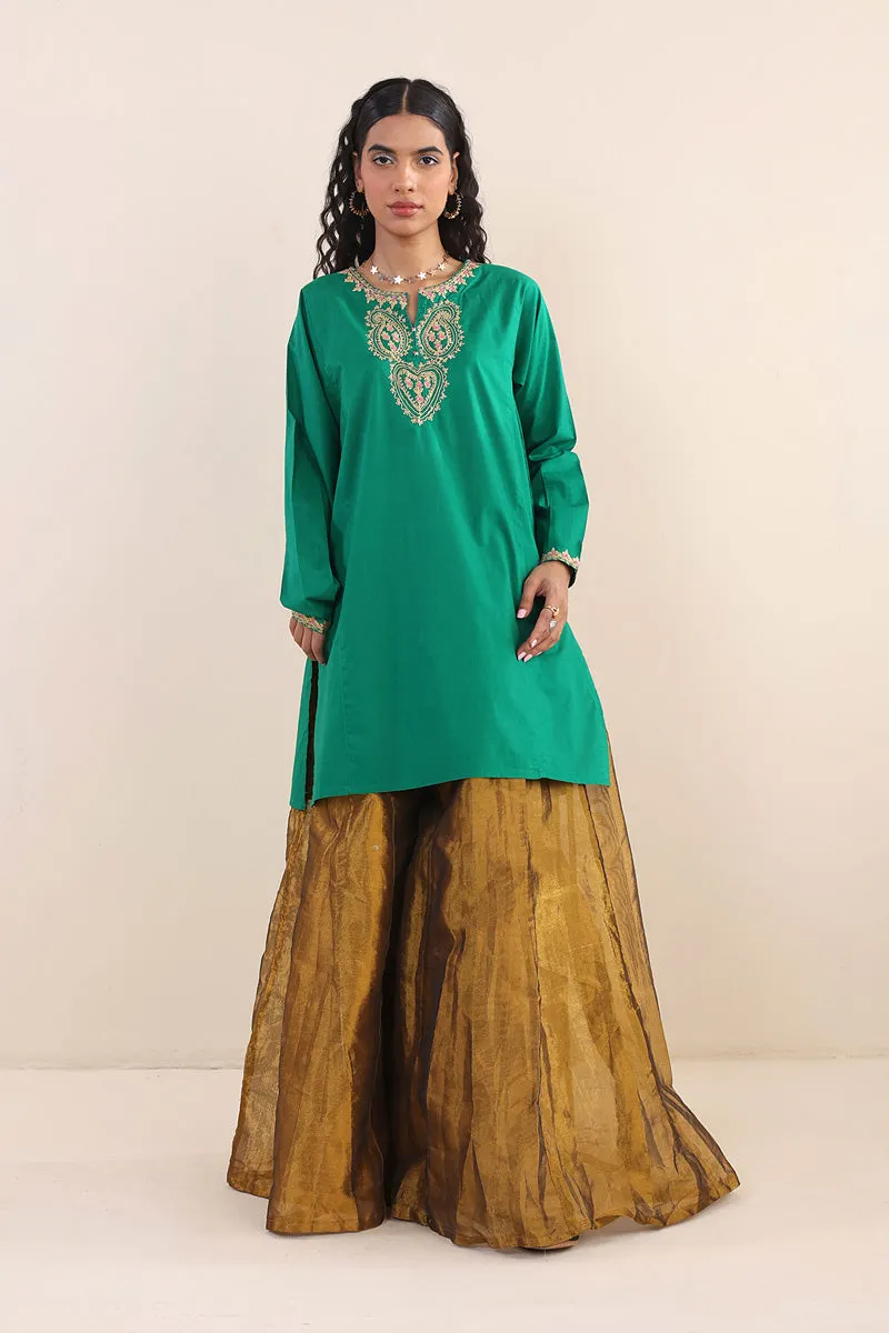Desi Dreams Kurti