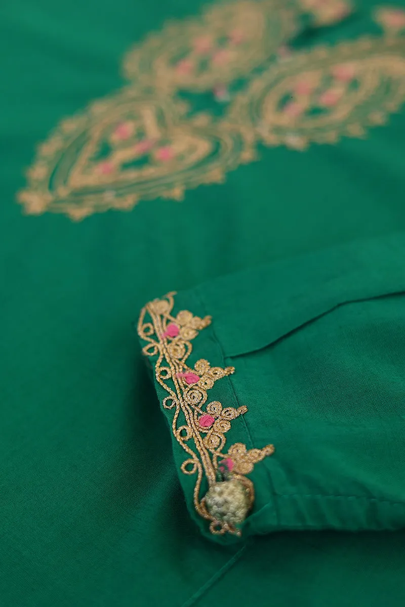 Desi Dreams Kurti