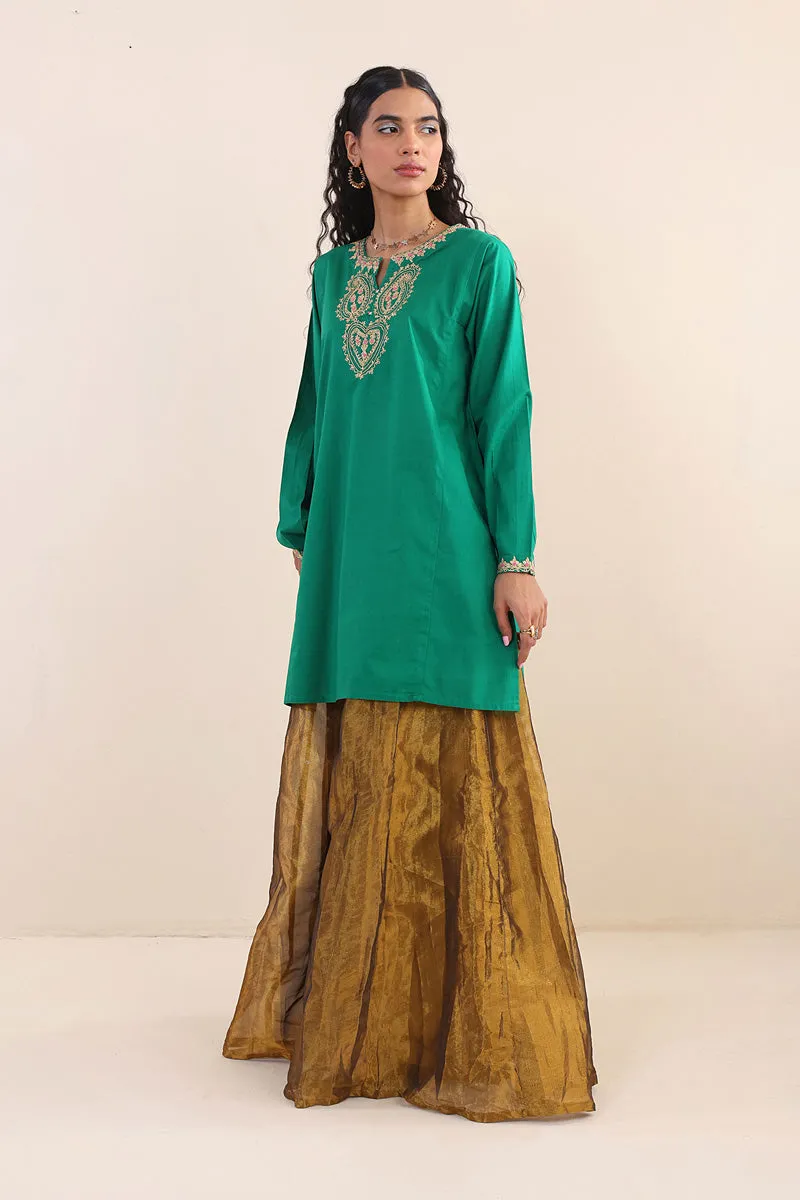 Desi Dreams Kurti
