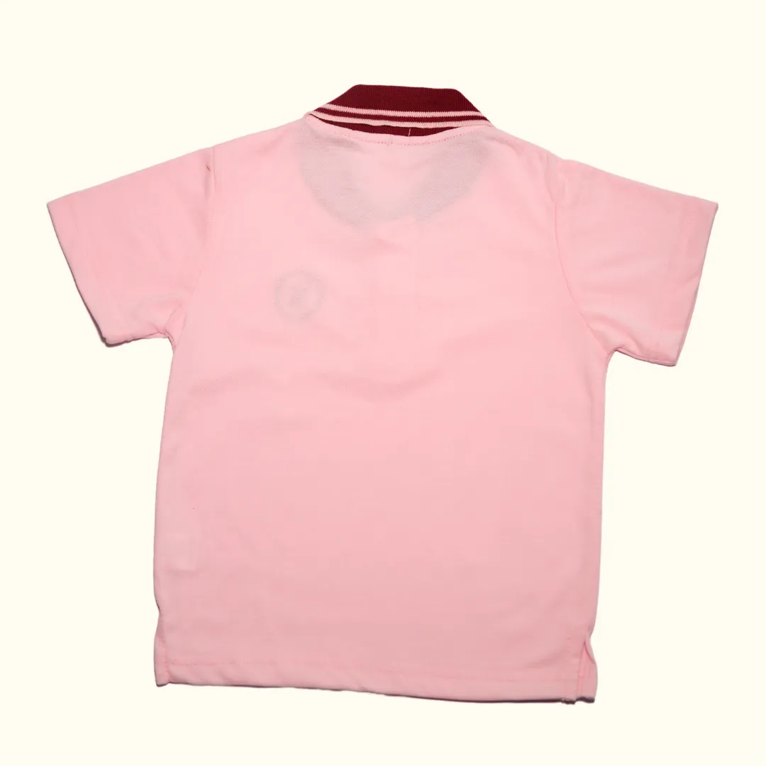 Pink IX Embroidered Polo